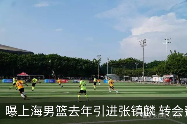 曝上海男篮去年引进张镇麟 转会费投入超5000万